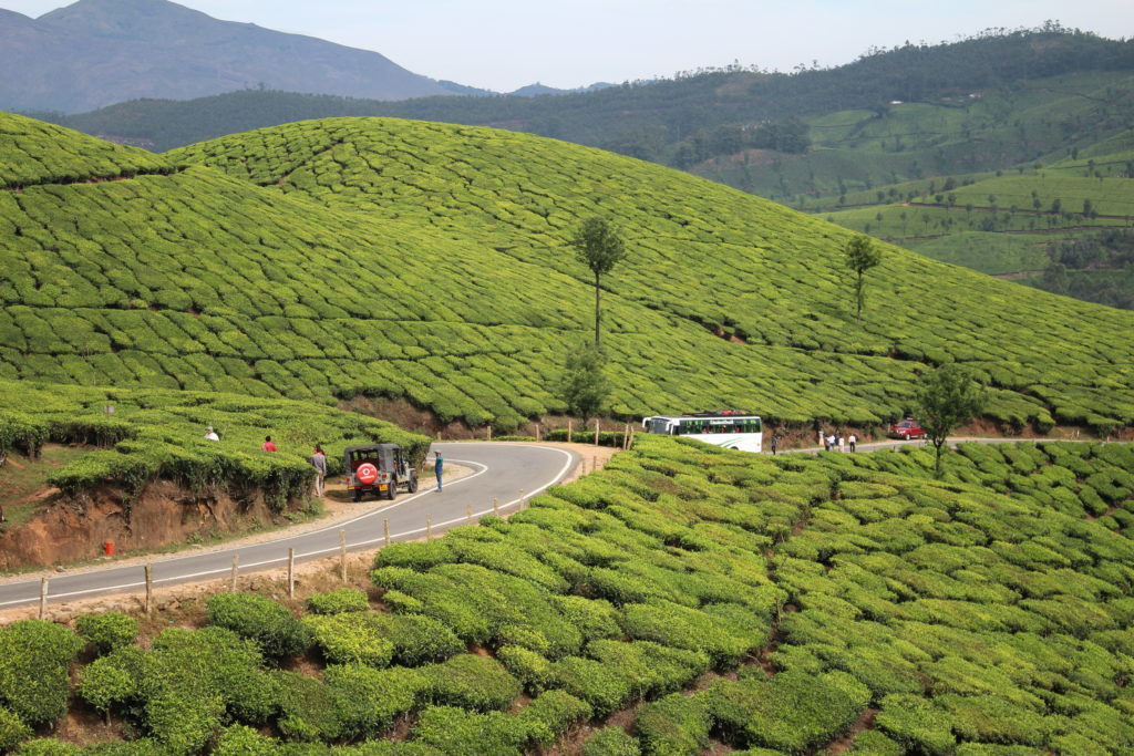 Munnar Students Budget Package - Munnar Cottages Resorts